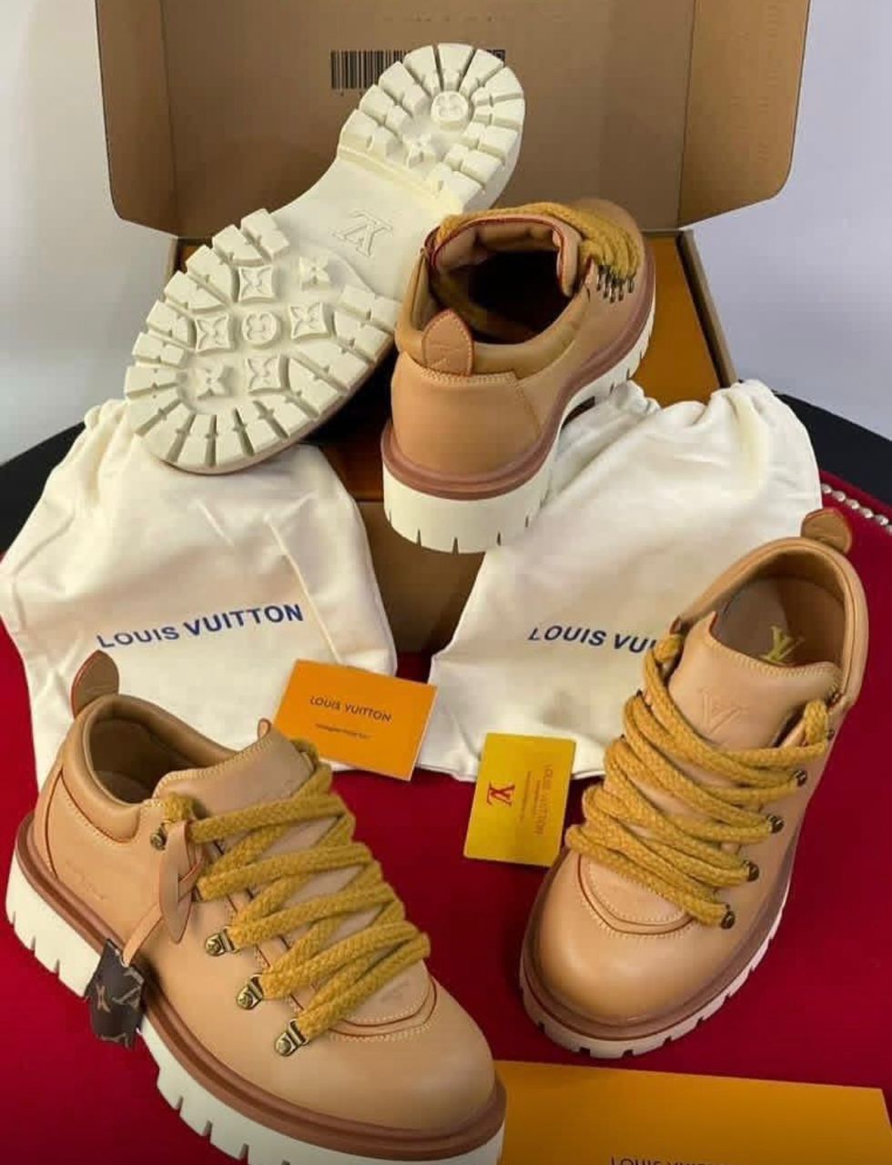 Louis VUITTON Sneakers